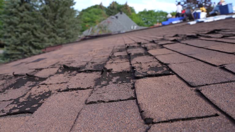 Best Green or Eco-Friendly Roofing Solutions  in Palacios, TX