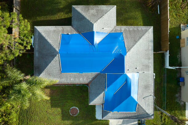Best Roof Coating and Sealing  in Palacios, TX