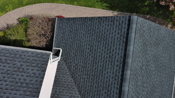 Best Roof Maintenance and Cleaning  in Palacios, TX