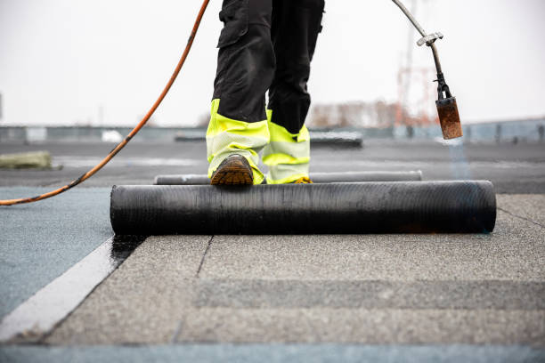 Best Roof Moss and Algae Removal  in Palacios, TX