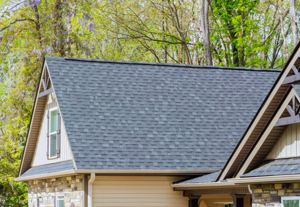 Best Gutter Installation and Repair  in Palacios, TX